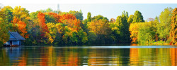 brise vue automne sur lac